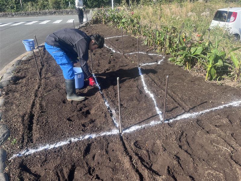 Image - 2025-12-02T112019.520